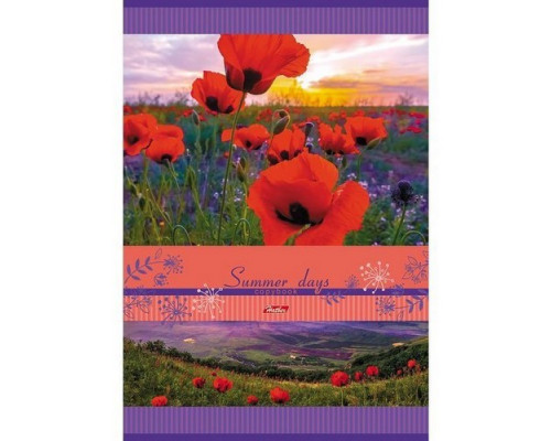 Тетрадь А4 96л клетка "Summer Days" Hatber
