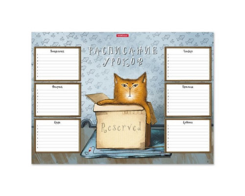 Расписание уроков А3 "Cat & Box" ErichKrause