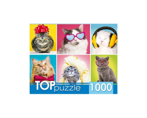 Пазл 1000 эл. "Смешные котята" Рыжий кот