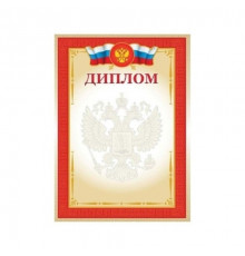 Бланк документов Диплом А4 Спейс