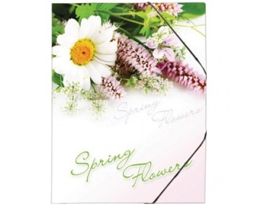 Папка на резинке А4 "Spring Flowers" 550мкр Berlingo
