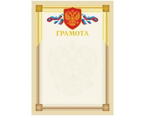 Бланк документов Грамота А4 тиснение фольгой Спейс