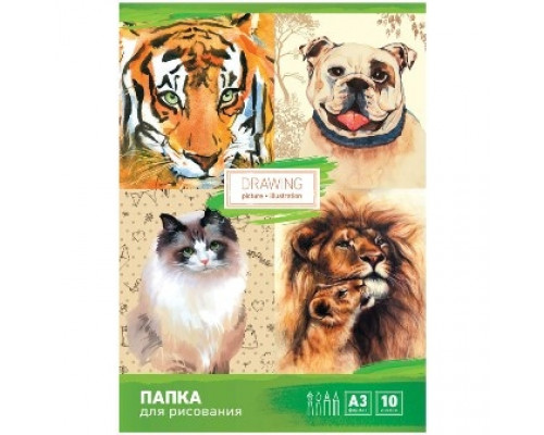Папка для рисования А3 10л 120г/м2 Спейс