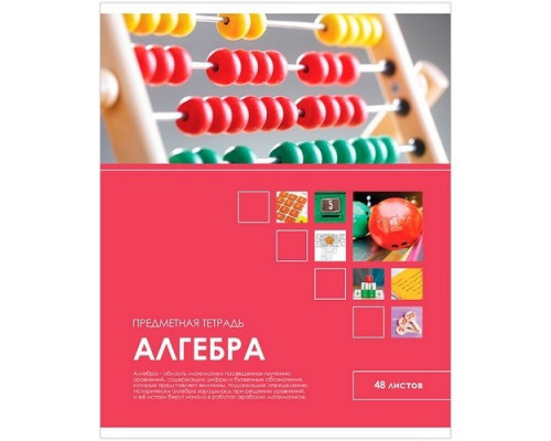 Тетрадь предметная А5 48л Алгебра "Учись ярко!" Спейс