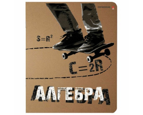 Тетрадь предметная А5 48л Алгебра "КРУТАЯ ТЕМА" Альт