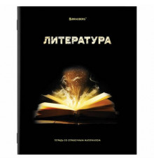 Тетрадь предметная А5 48л Литература "SHADE" Brauberg